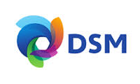 DSM